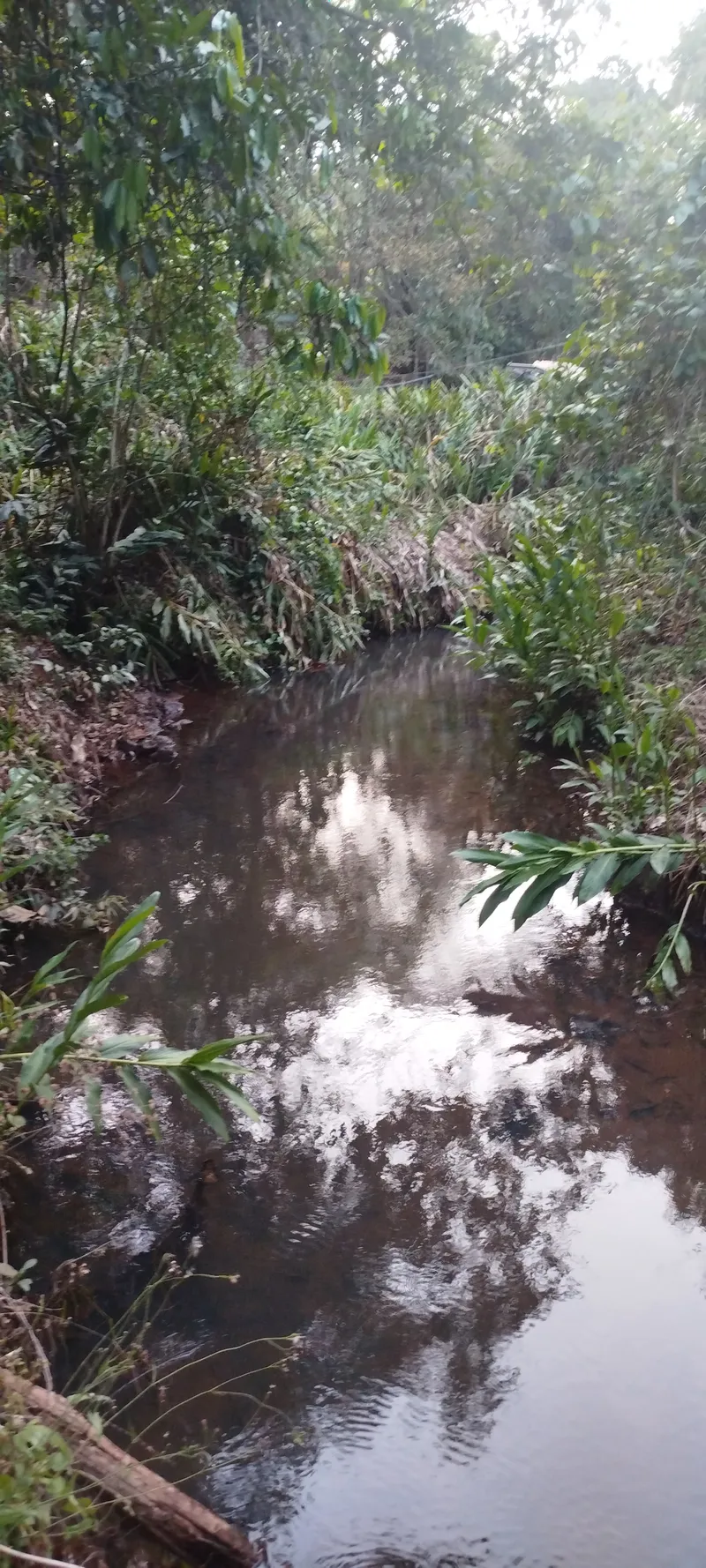 Chácara em Anápolis/Goiás — Ref N88WC7 — Imagem 6