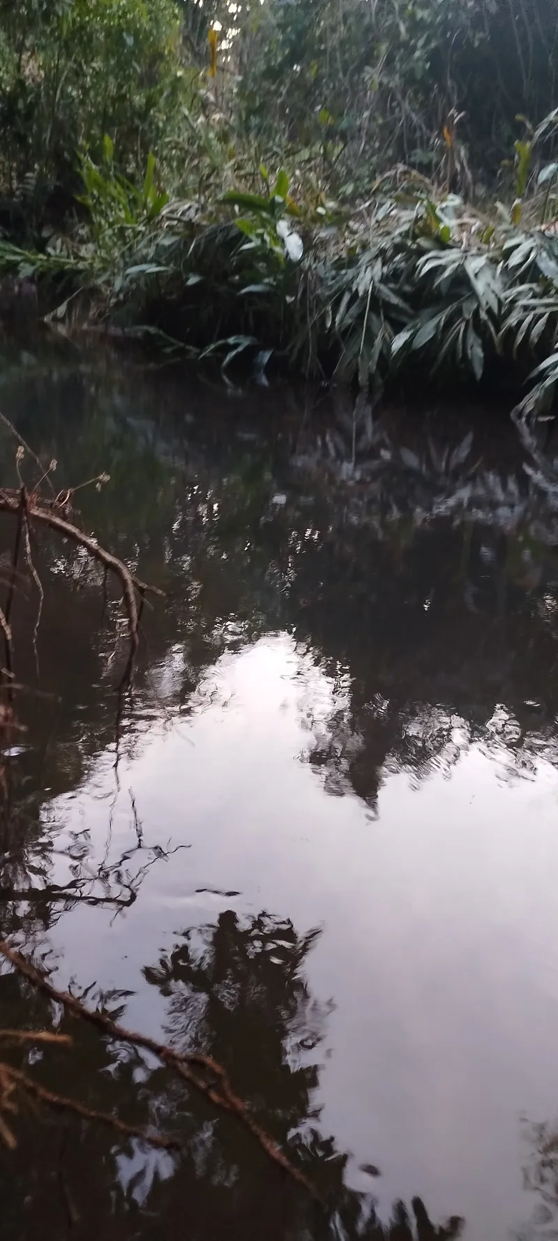Chácara em Anápolis/Goiás — Ref N88WC7 — Imagem 8