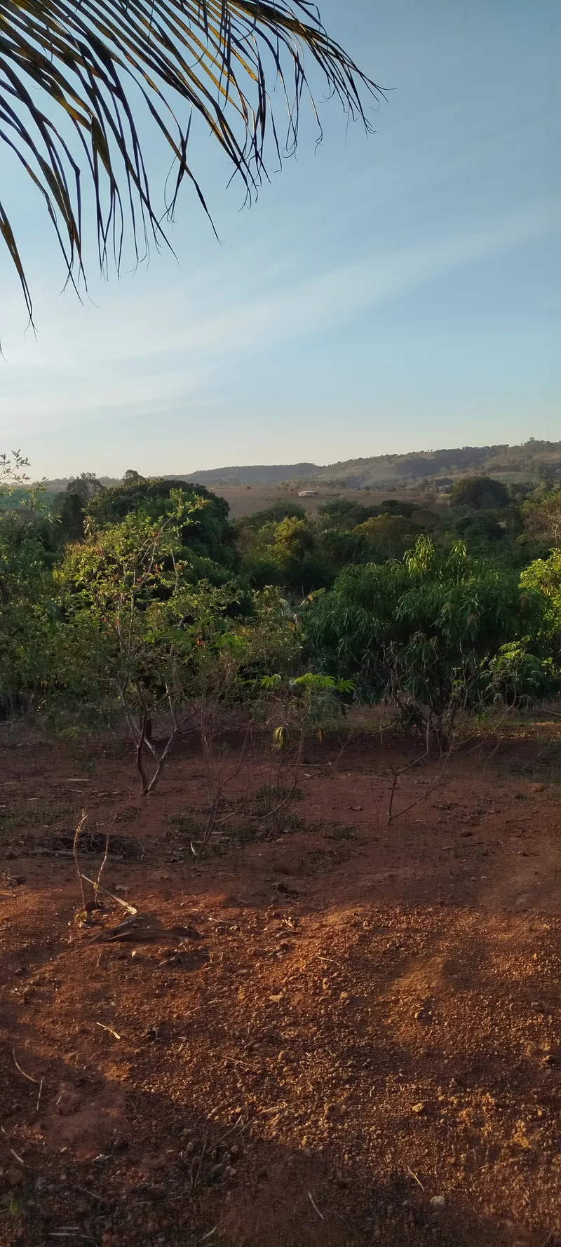 Chácara em Anápolis/Goiás — Ref N88WC7 — Imagem 1