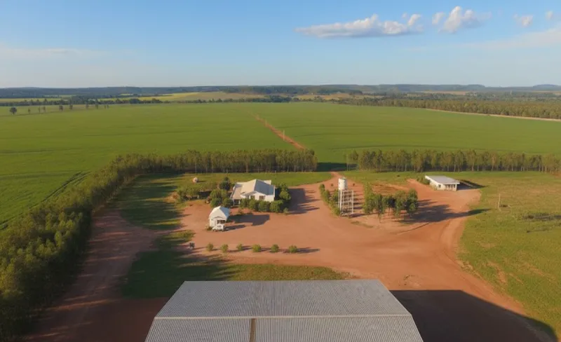 Fazenda em Primavera do Leste/Mato Grosso — Ref S2F8KO — Imagem 3