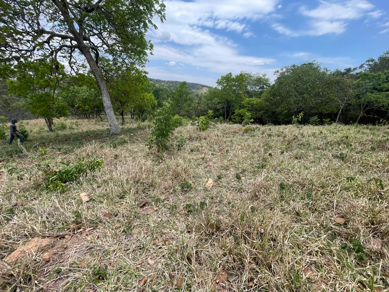 Sítio em Bonfinópolis/Goiás — Ref 3F7WFQ — Imagem 6