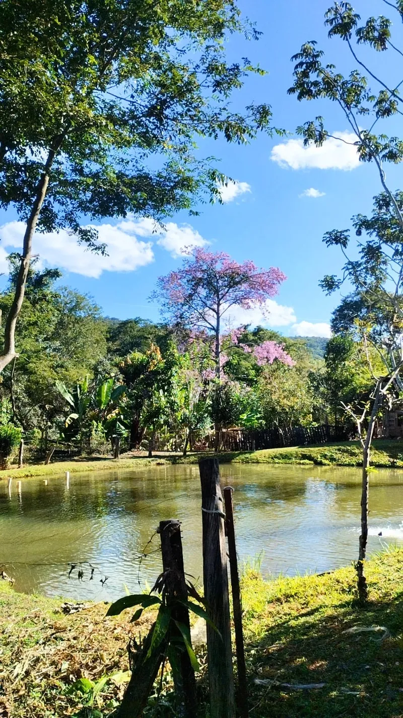 Sítio em Bonfinópolis/Goiás — Ref 3F7WFQ — Imagem 2