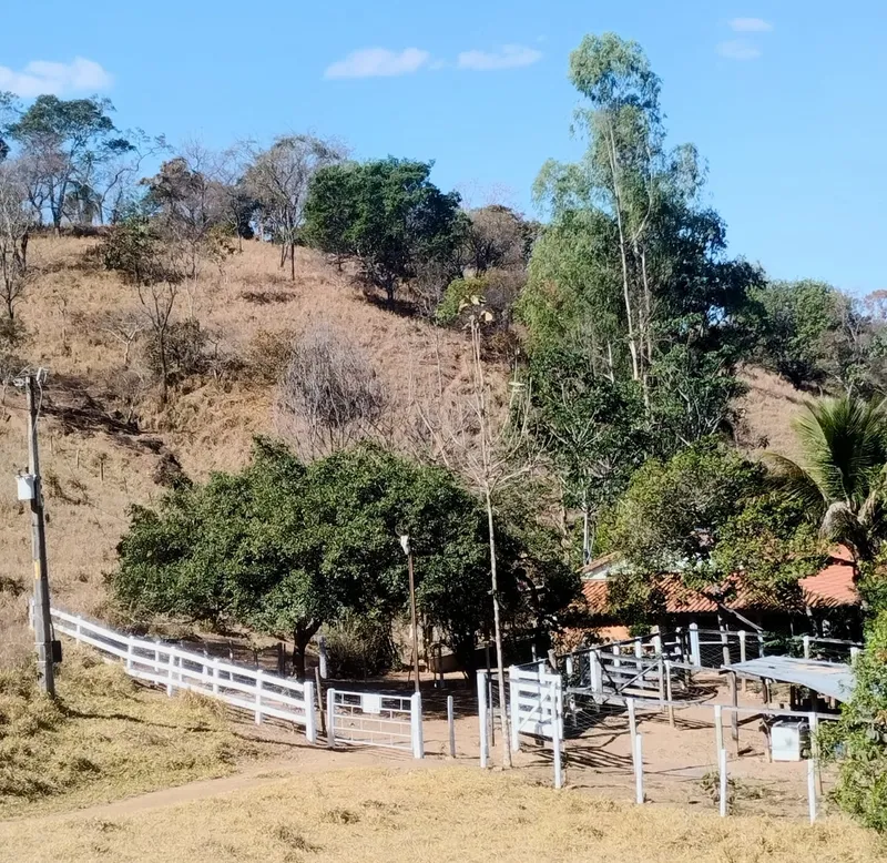 Sítio em Bonfinópolis/Goiás — Ref 3F7WFQ — Imagem 4