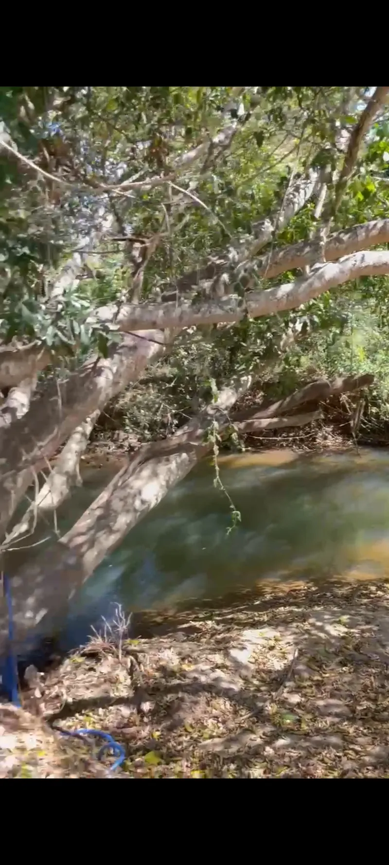 Chácara em Anápolis/Goiás — Ref STSKS1 — Imagem 3