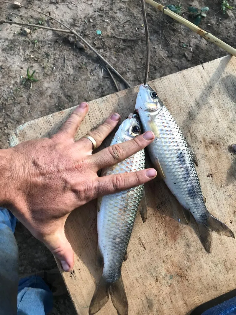 Chácara em Anápolis/Goiás — Ref STSKS1 — Imagem 5