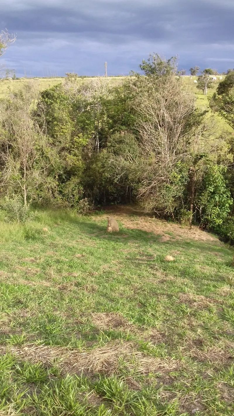 Chácara em Anápolis/Goiás — Ref 61YWAW — Imagem 6