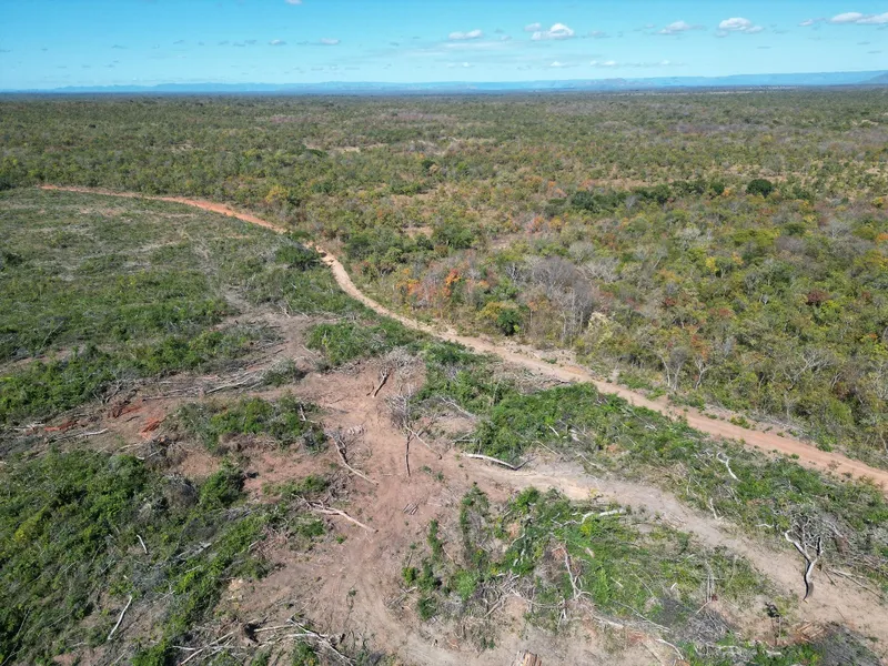 Fazenda em Paranã/Tocantins — Ref VQ1IST — Imagem 3