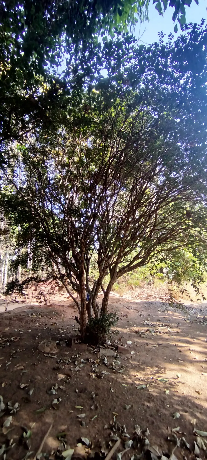 Chácara em Anápolis/Goiás — Ref RVV3MY — Imagem 5