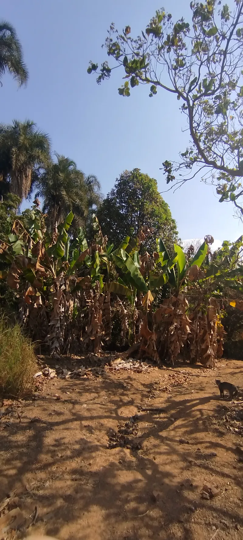 Chácara em Anápolis/Goiás — Ref RVV3MY — Imagem 6