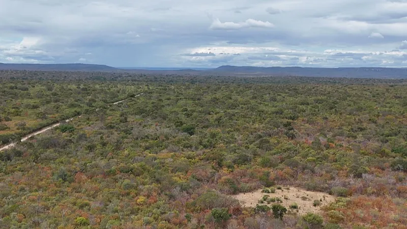Fazenda em São Raimundo Nonato/Piauí — Ref QCN617 — Imagem 6