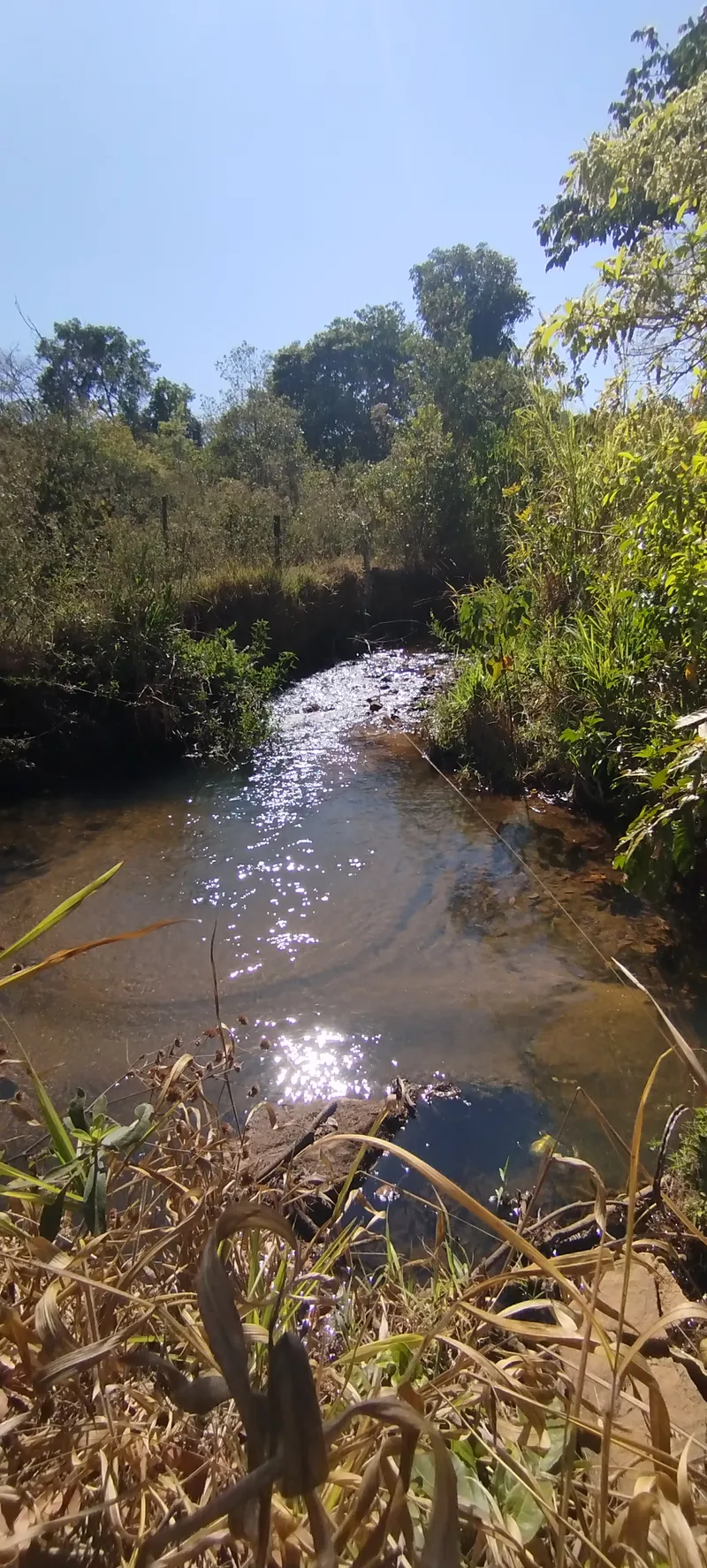 Sítio em Anápolis/Goiás — Ref EC4UNY — Imagem 5
