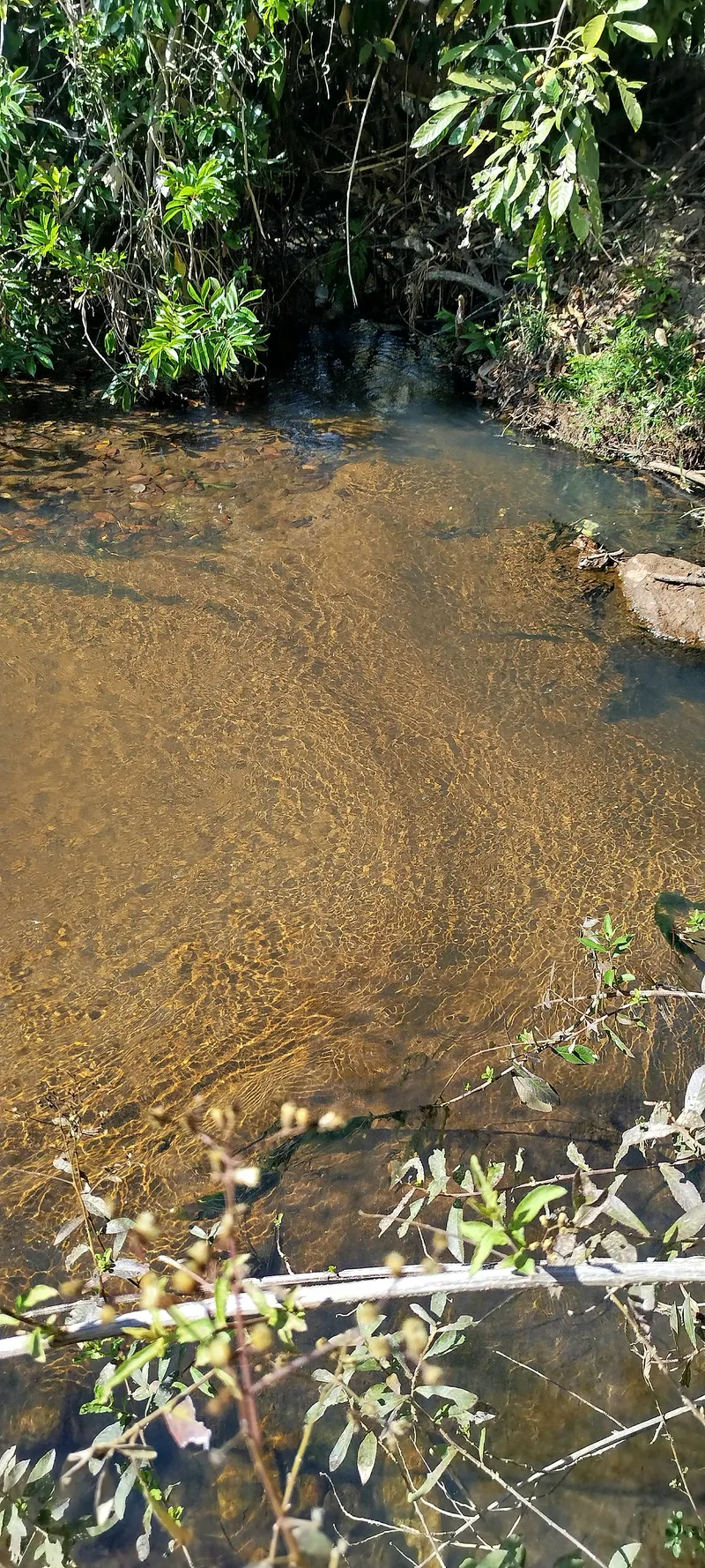 Sítio em Anápolis/Goiás — Ref EC4UNY — Imagem 7