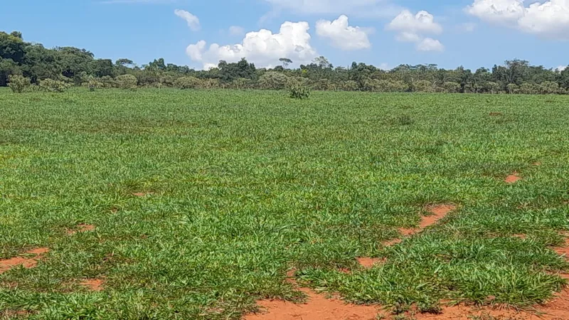 Sítio em Anápolis/Goiás — Ref EC4UNY — Imagem 2