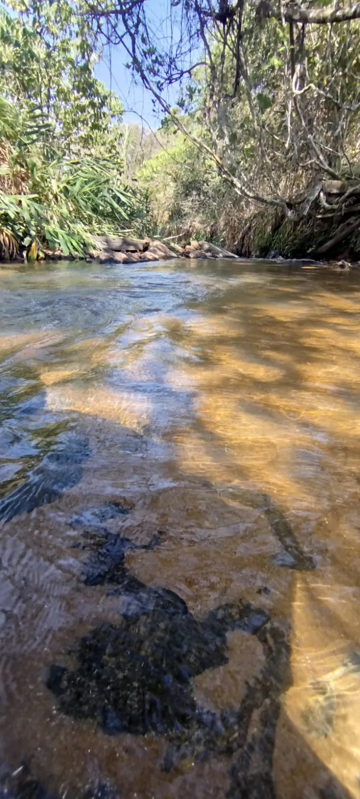 Sítio em Anápolis/Goiás — Ref EC4UNY — Imagem 8