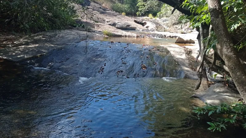 Sítio em Goianésia/Goiás — Ref T55GHD — Imagem 9