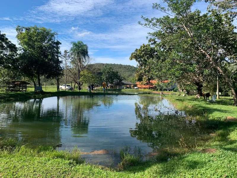 Sítio em Goianésia/Goiás — Ref T55GHD — Imagem 8