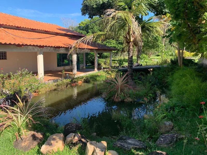 Sítio em Goianésia/Goiás — Ref T55GHD — Imagem 3