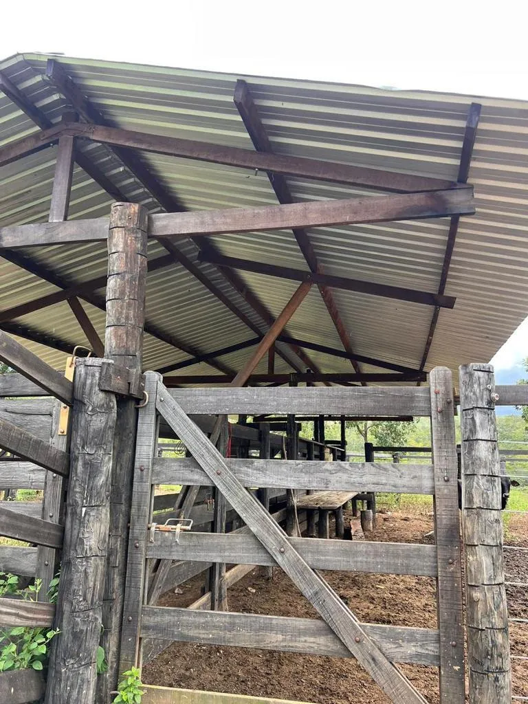 Sítio em Goianésia/Goiás — Ref T55GHD — Imagem 16