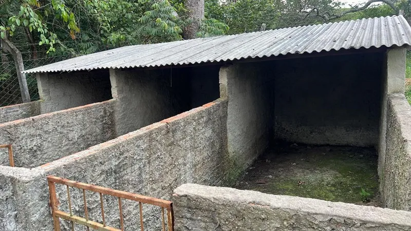 Sítio em Goianésia/Goiás — Ref T55GHD — Imagem 17