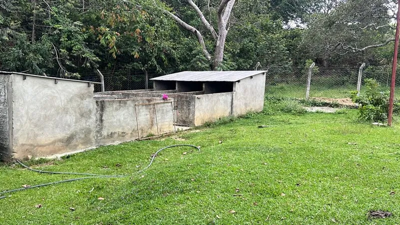 Sítio em Goianésia/Goiás — Ref T55GHD — Imagem 7