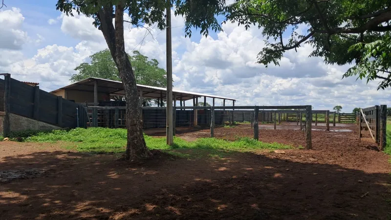 Fazenda em Alvorada do Norte/Goiás — Ref N4PIAI — Imagem 1