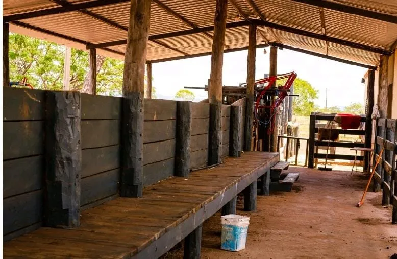 Fazenda em Alvorada do Norte/Goiás — Ref N4PIAI — Imagem 3