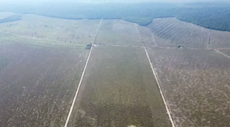 Fazenda em Cerejeiras/Rondônia — Ref VD41LV — Imagem 2