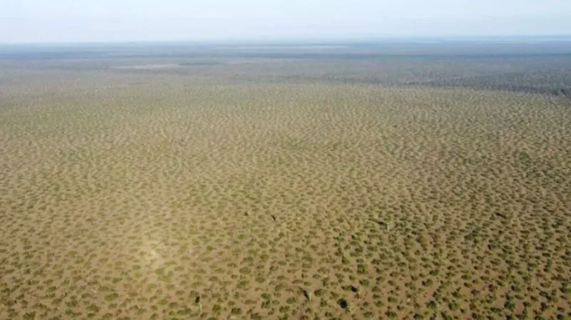 Fazenda em Cerejeiras/Rondônia — Ref VD41LV — Imagem 3