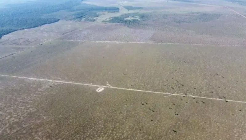 Fazenda em Cerejeiras/Rondônia — Ref VD41LV — Imagem 4