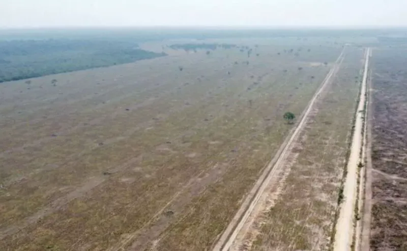 Fazenda em Cerejeiras/Rondônia — Ref VD41LV — Imagem 6