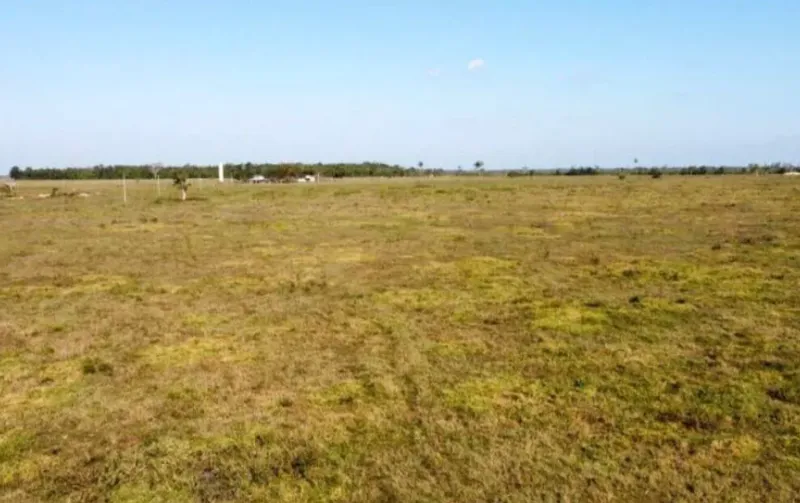 Fazenda em Cerejeiras/Rondônia — Ref VD41LV — Imagem 7