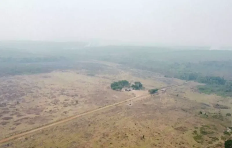 Fazenda em Cerejeiras/Rondônia — Ref VD41LV — Imagem 10