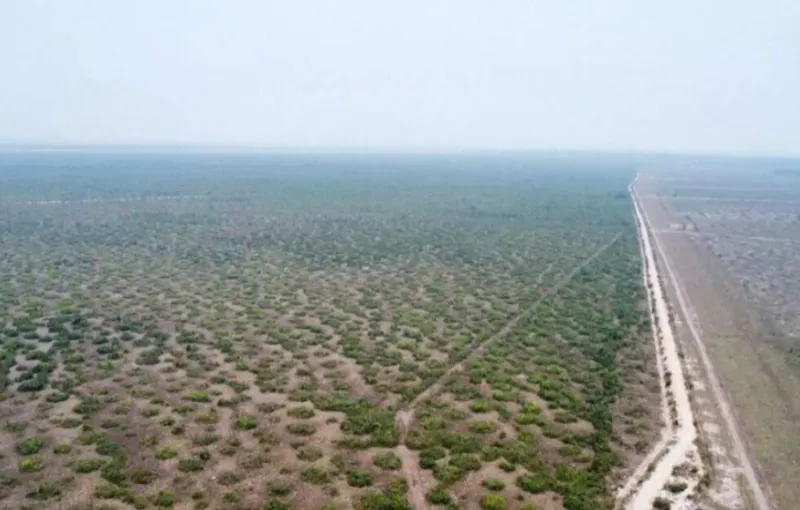 Fazenda em Cerejeiras/Rondônia — Ref VD41LV — Imagem 11