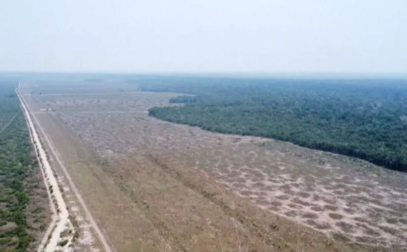 Fazenda em Cerejeiras/Rondônia — Ref VD41LV — Imagem 12