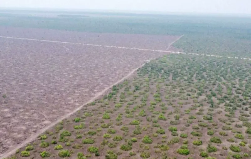 Fazenda em Cerejeiras/Rondônia — Ref VD41LV — Imagem 14