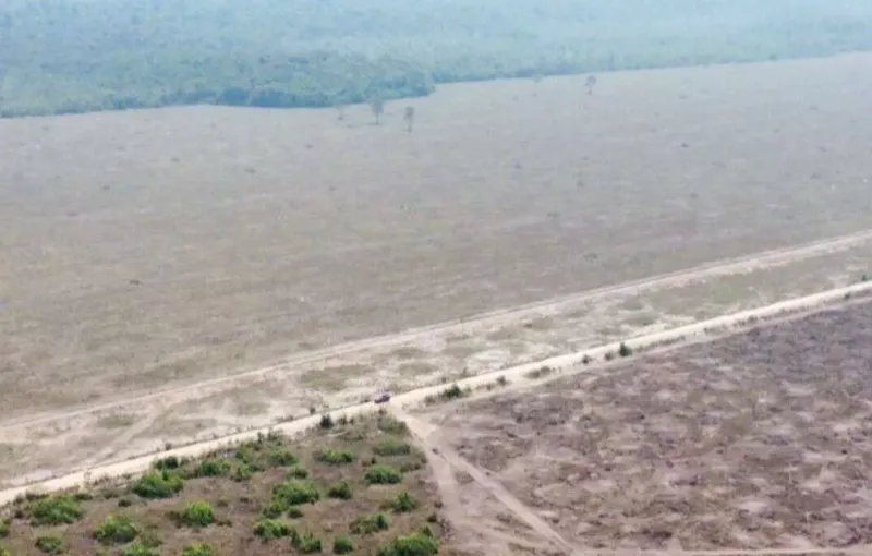 Fazenda em Cerejeiras/Rondônia — Ref VD41LV — Imagem 15