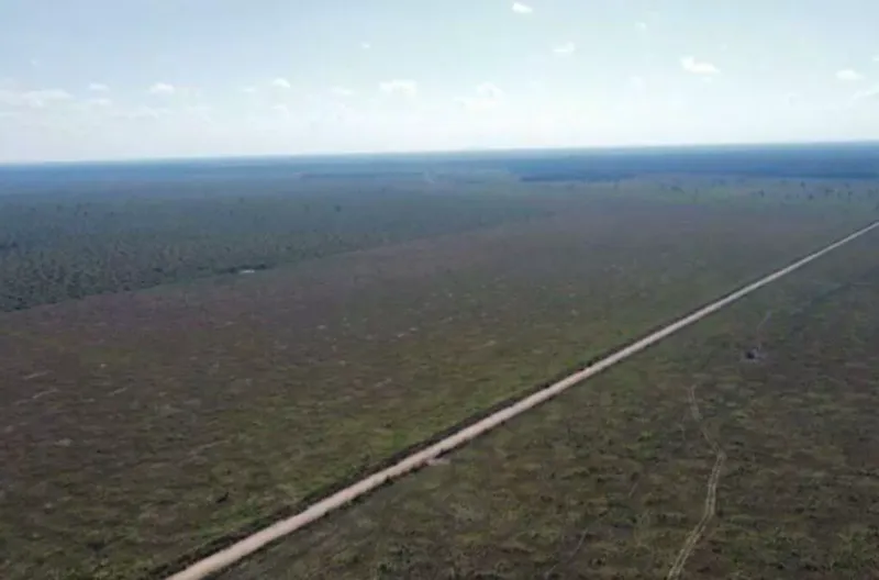 Fazenda em Cerejeiras/Rondônia — Ref VD41LV — Imagem 18