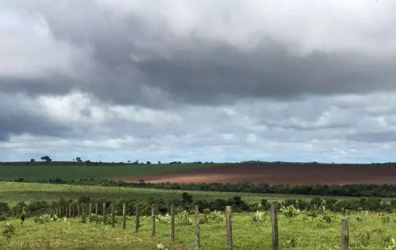 Fazenda em Cerejeiras/Rondônia — Ref VD41LV — Imagem 20