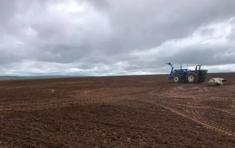 Fazenda em Cerejeiras/Rondônia — Ref VD41LV — Imagem 25