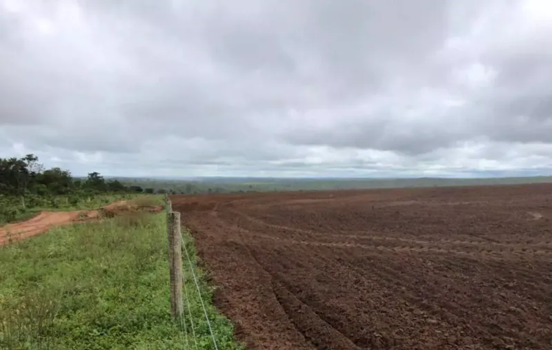 Fazenda em Cerejeiras/Rondônia — Ref VD41LV — Imagem 26