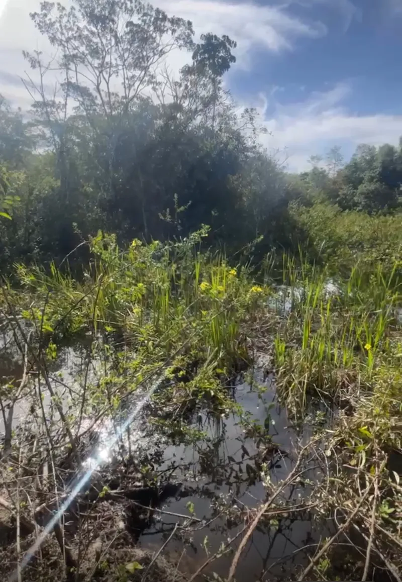 Chácara em Abadiânia/Goiás — Ref FEXBOH — Imagem 3
