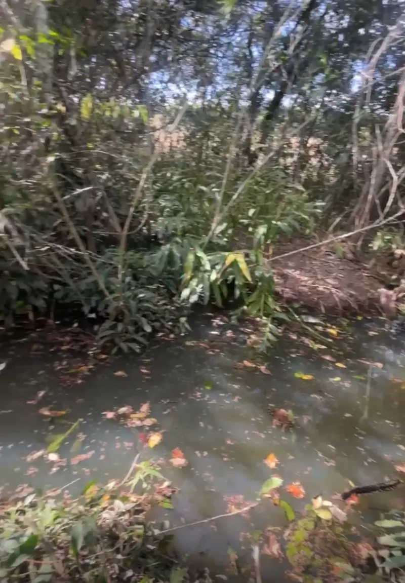 Chácara em Abadiânia/Goiás — Ref FEXBOH — Imagem 4