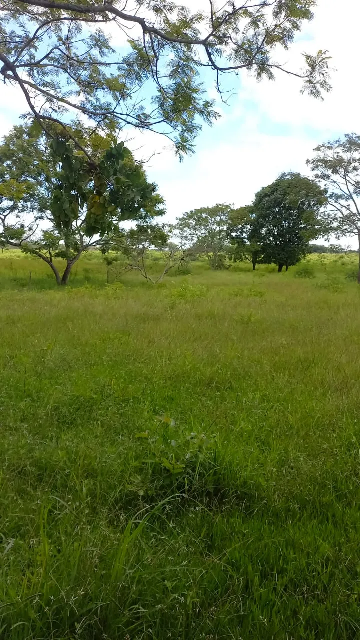 Fazenda em Felixlândia/Minas Gerais — Ref FJOWNL — Imagem 14