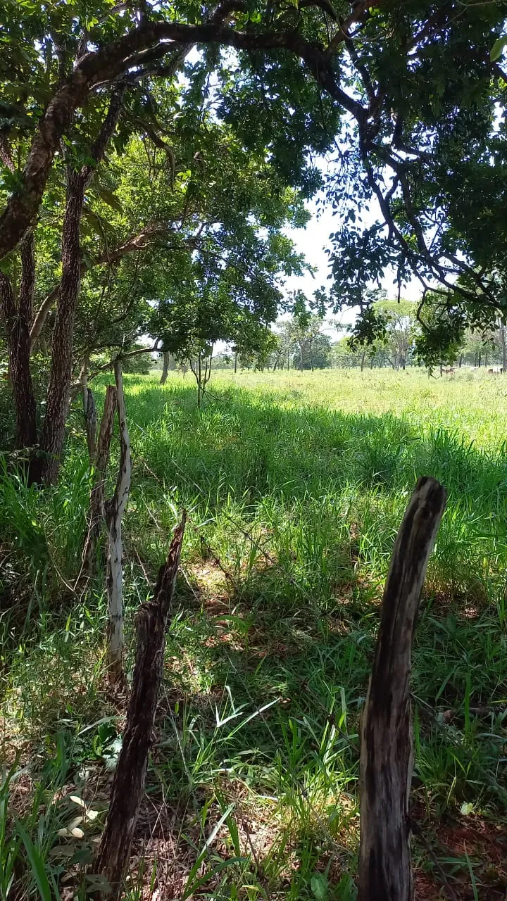 Fazenda em Felixlândia/Minas Gerais — Ref FJOWNL — Imagem 17