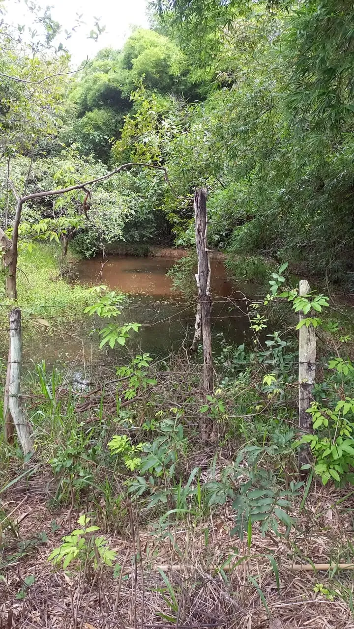 Fazenda em Felixlândia/Minas Gerais — Ref FJOWNL — Imagem 18