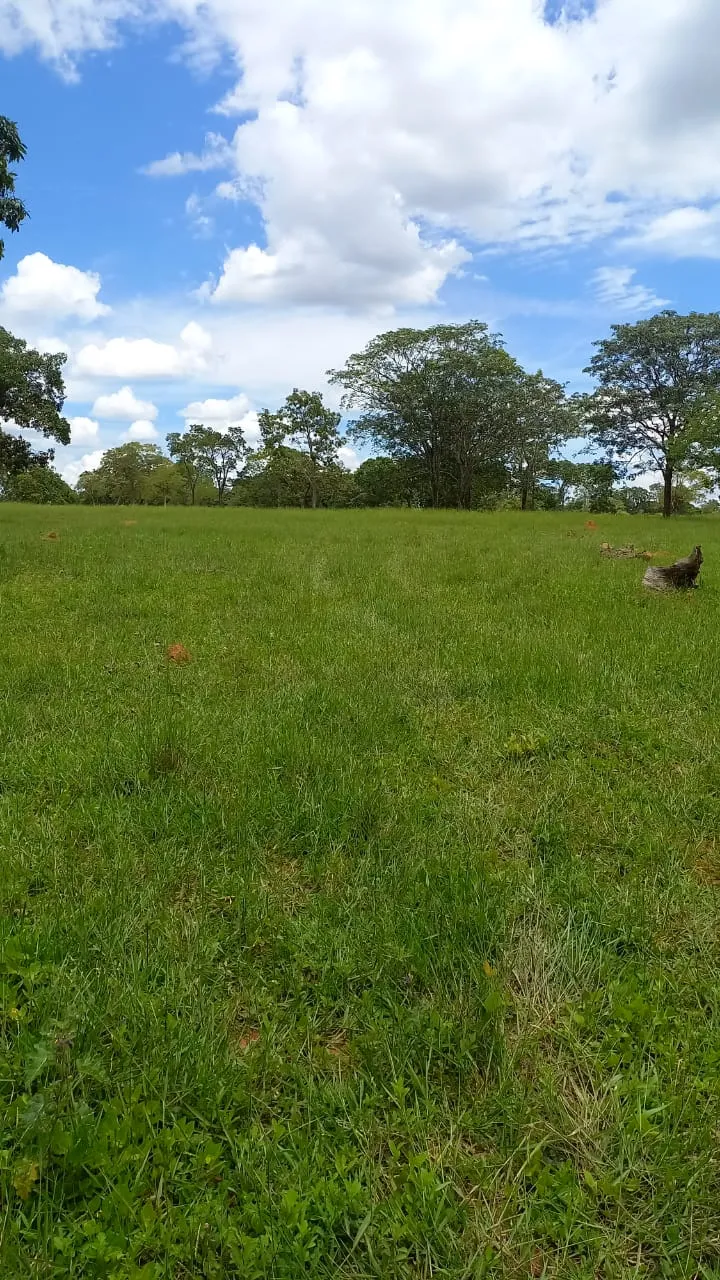 Fazenda em Felixlândia/Minas Gerais — Ref FJOWNL — Imagem 12
