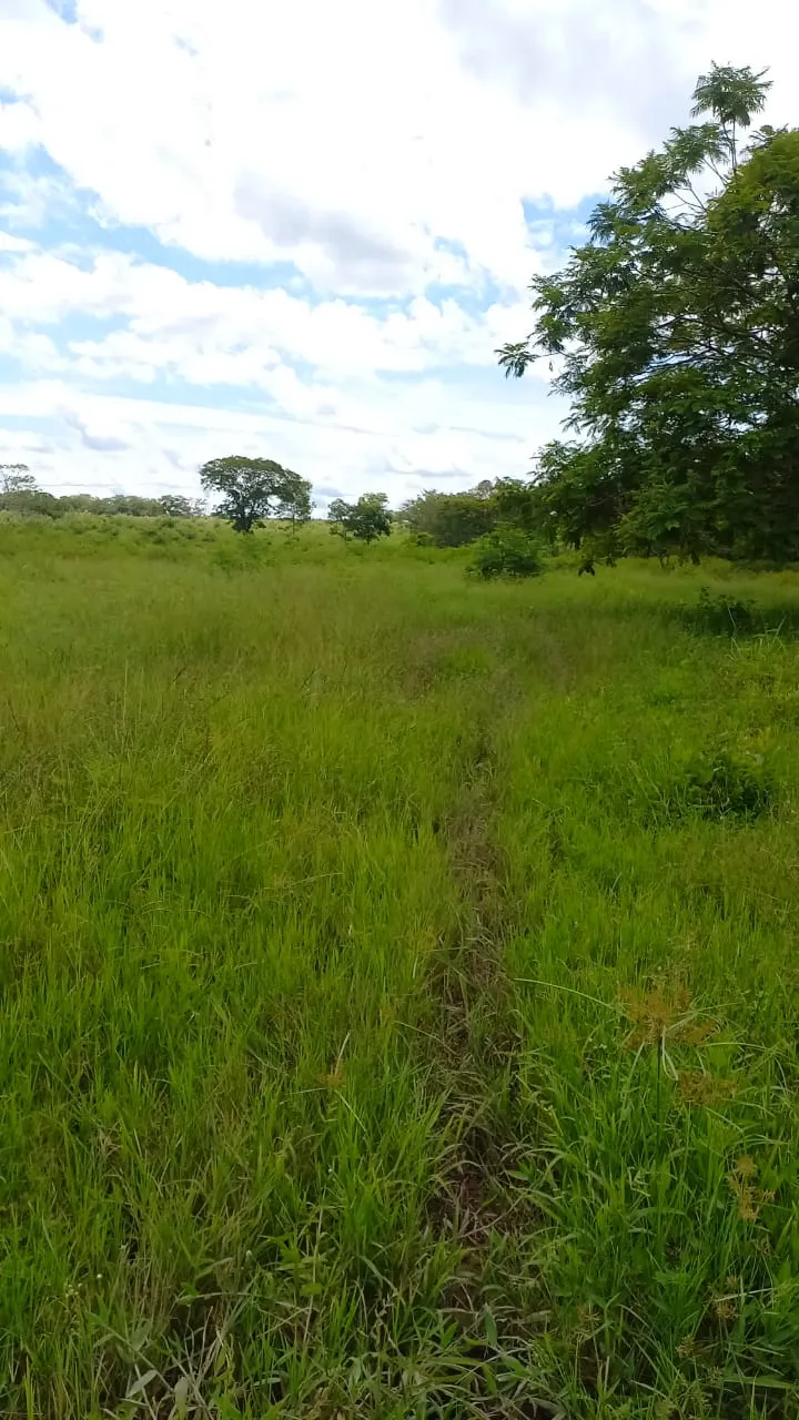 Fazenda em Felixlândia/Minas Gerais — Ref FJOWNL — Imagem 15