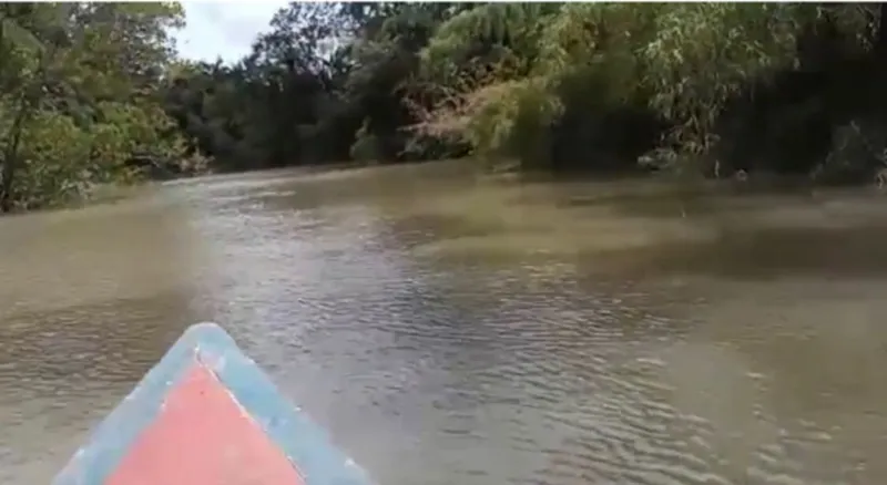 Sítio em Salvaterra/Pará — Ref 3KJY27 — Imagem 12