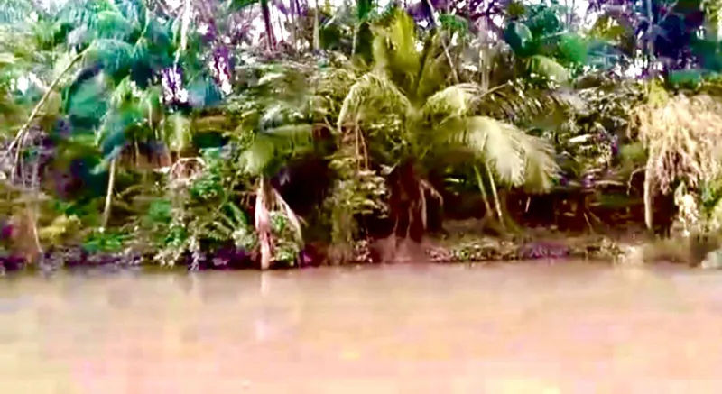 Sítio em Salvaterra/Pará — Ref 3KJY27 — Imagem 15