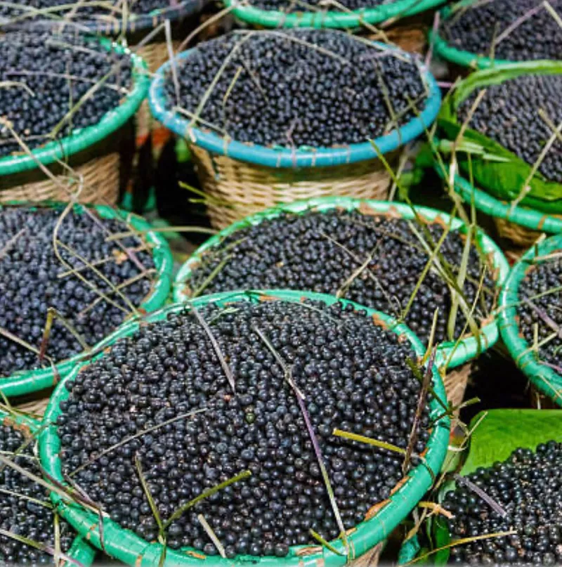 Sítio em Salvaterra/Pará — Ref 3KJY27 — Imagem 19